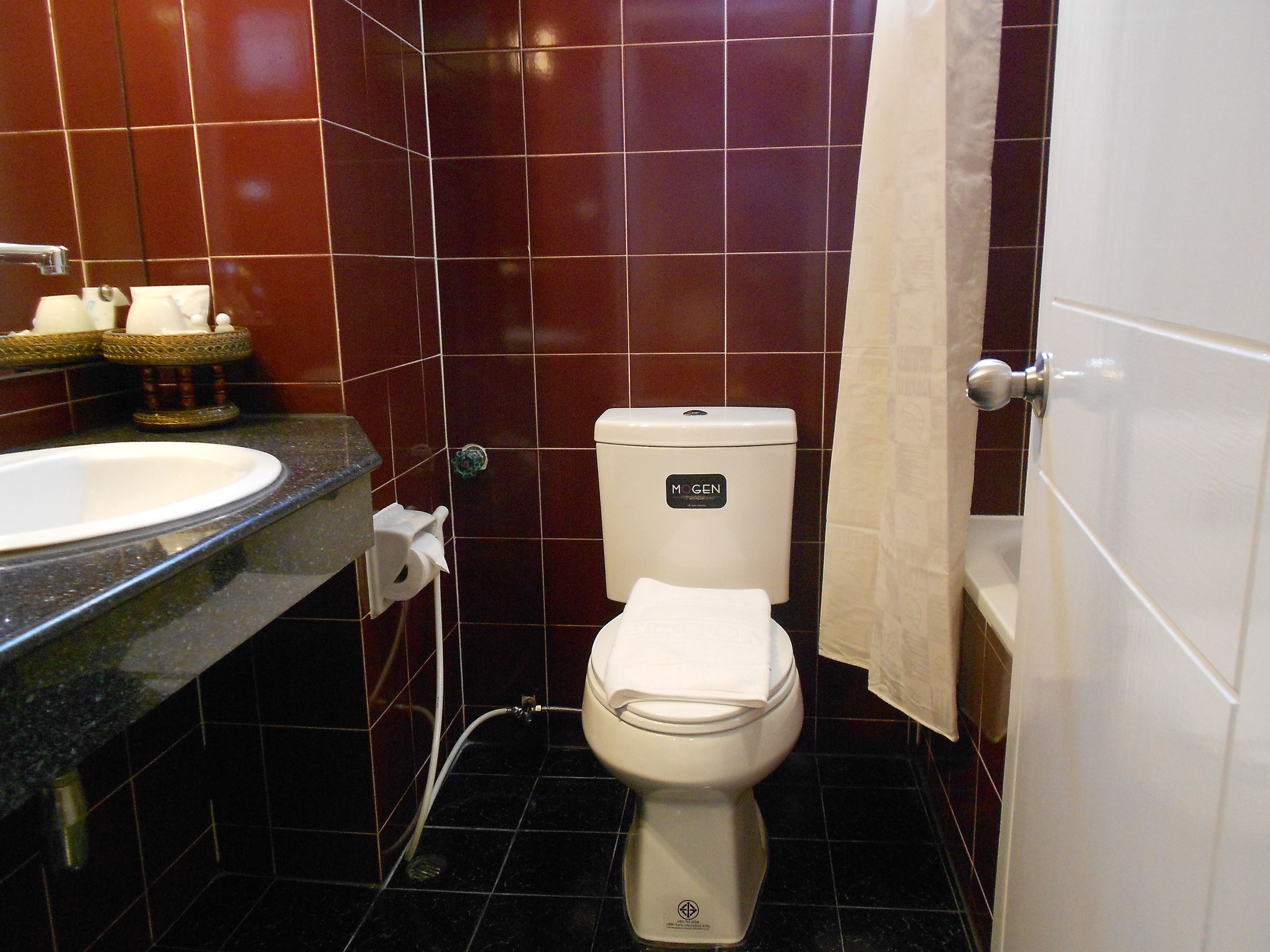 A bathroom with a white toilet, a sink, and a shower curtain.