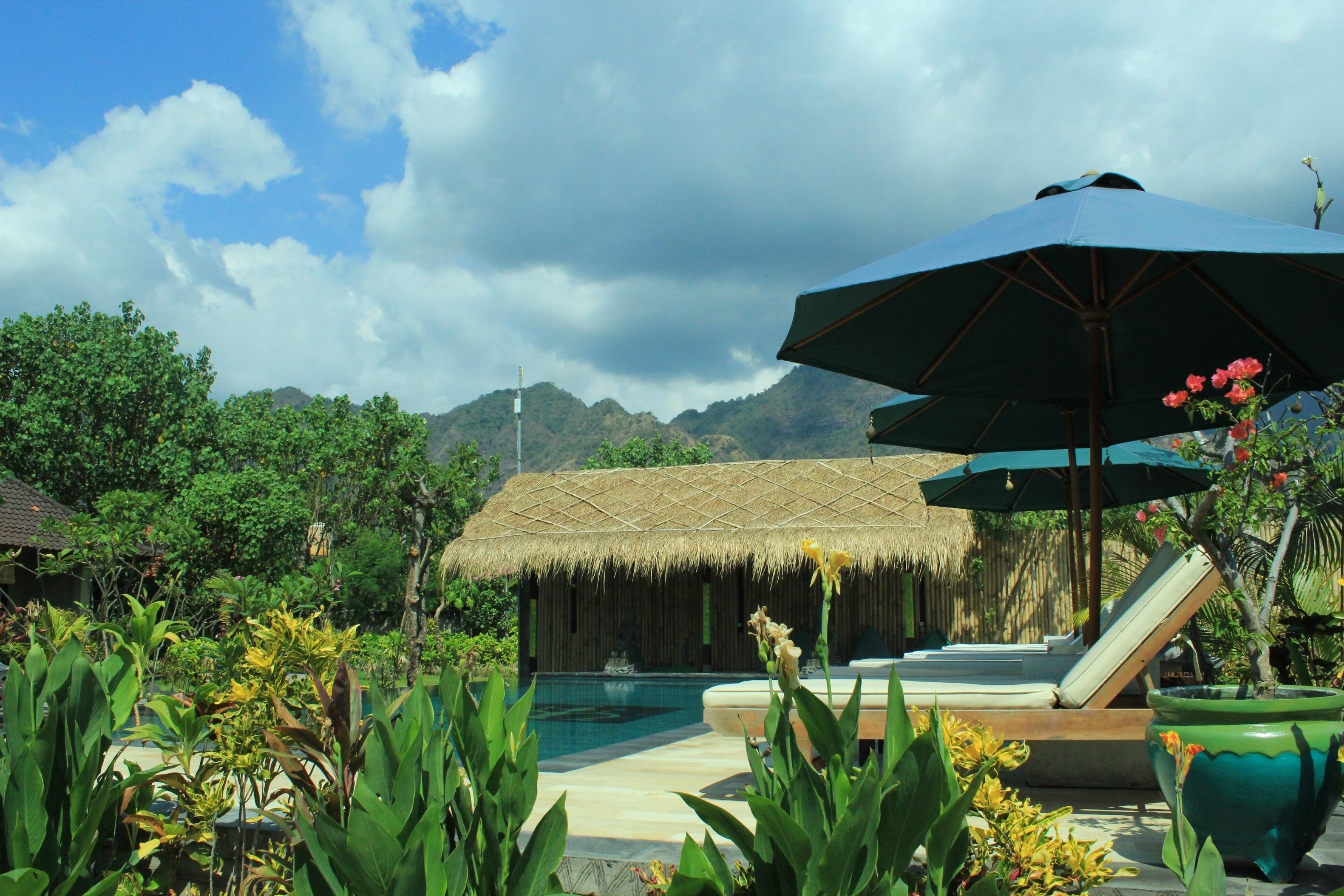 A pool area with lounge chairs and umbrellas, surrounded by lush greenery and a mountain backdrop.