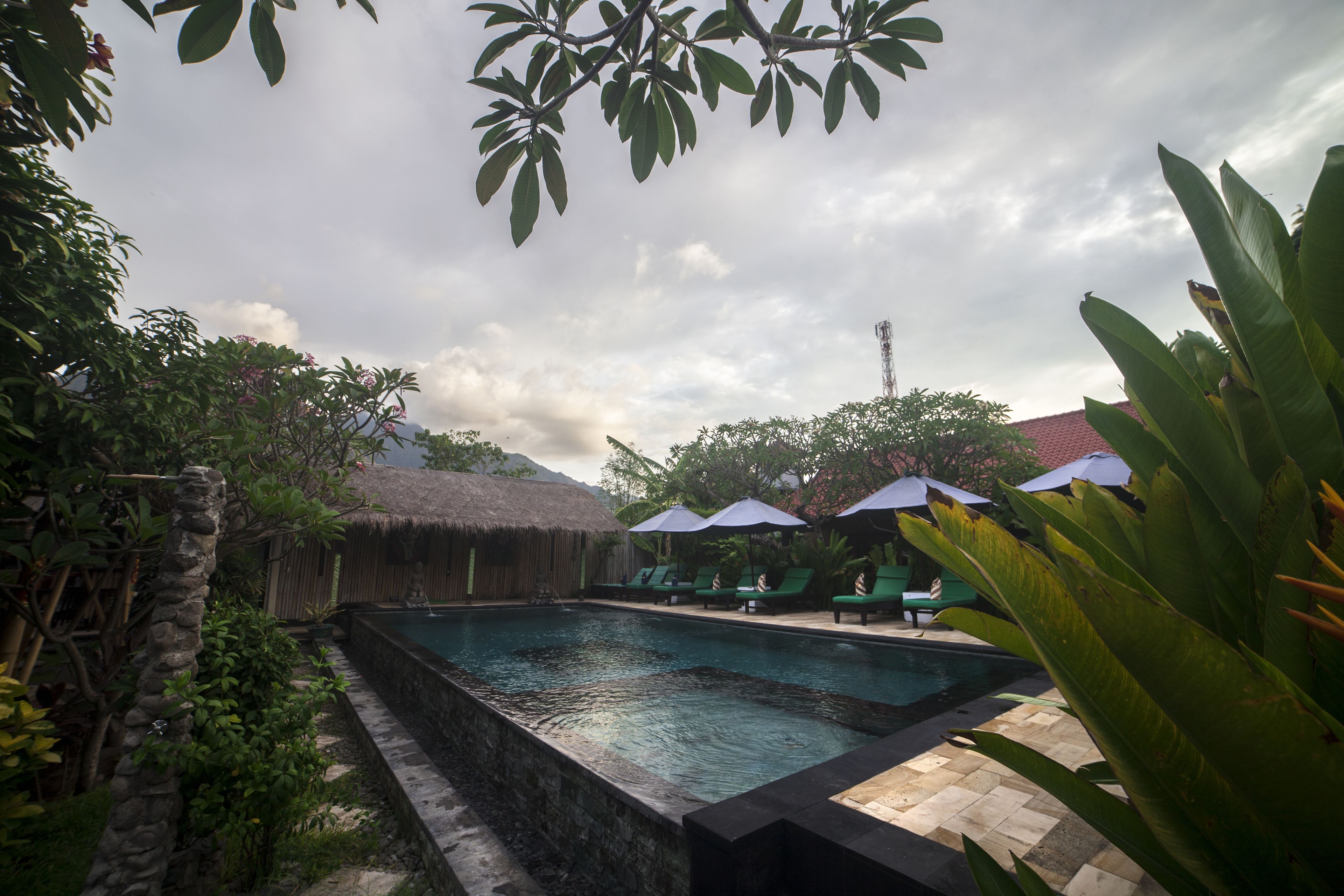 A swimming pool with lounge chairs and umbrellas, surrounded by tropical vegetation and a thatched-roof structure.