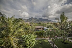 Vista de la muntanya