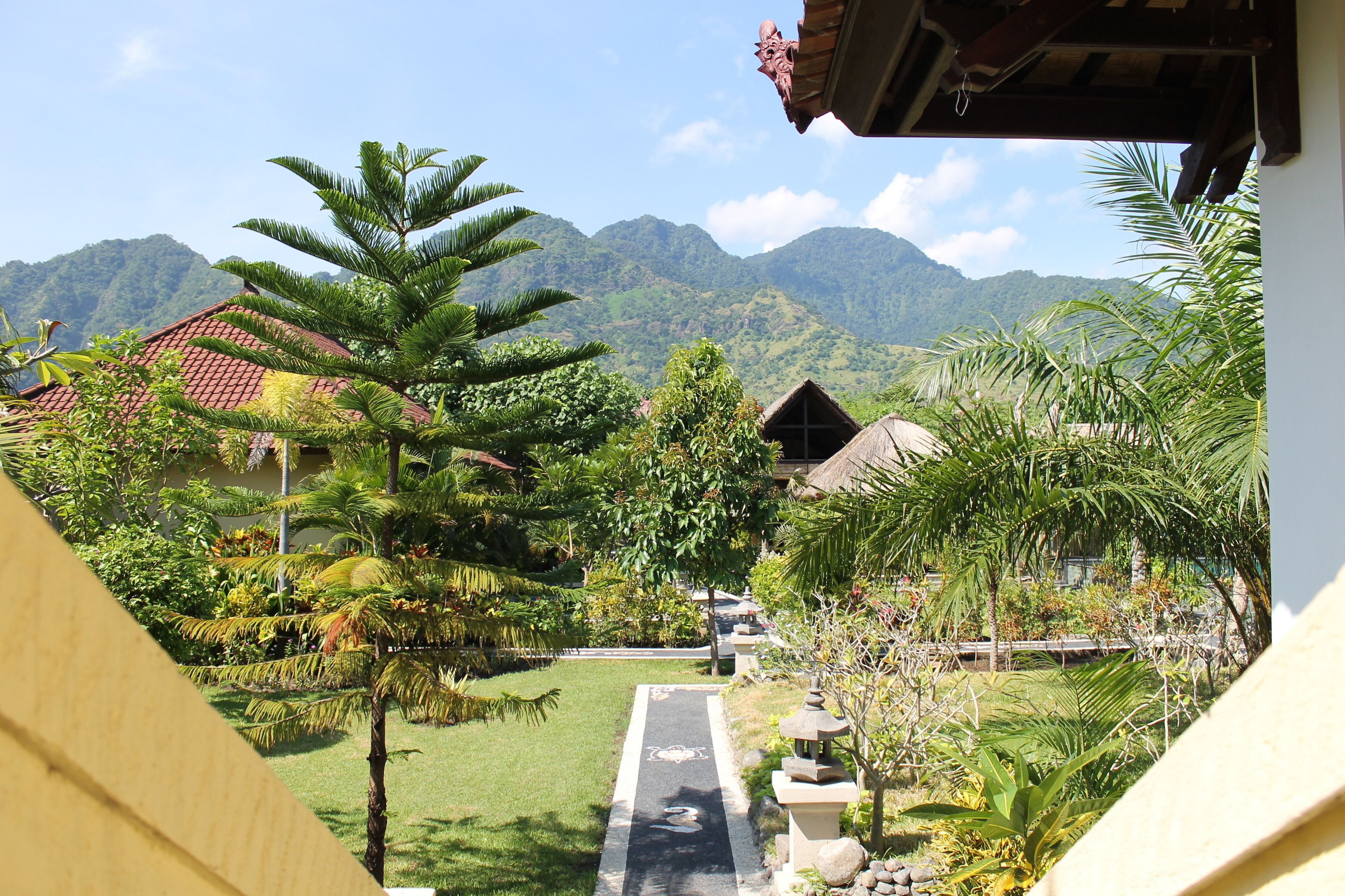 A tropical garden with a pathway leading to a building with a red roof.