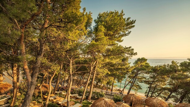 Un resort con mesas al aire libre, sombrillas de paja y vistas al mar.