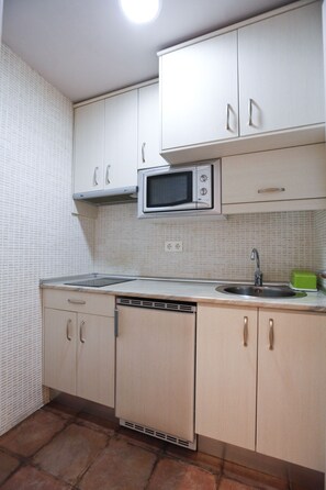 Familienapartment, 1 Doppelbett und Schlafsofa, Balkon (4 people) | Eigene Küche | Kühlschrank, Mikrowelle, Herdplatte, Wasserkocher mit Kaffee-/Teezubehör