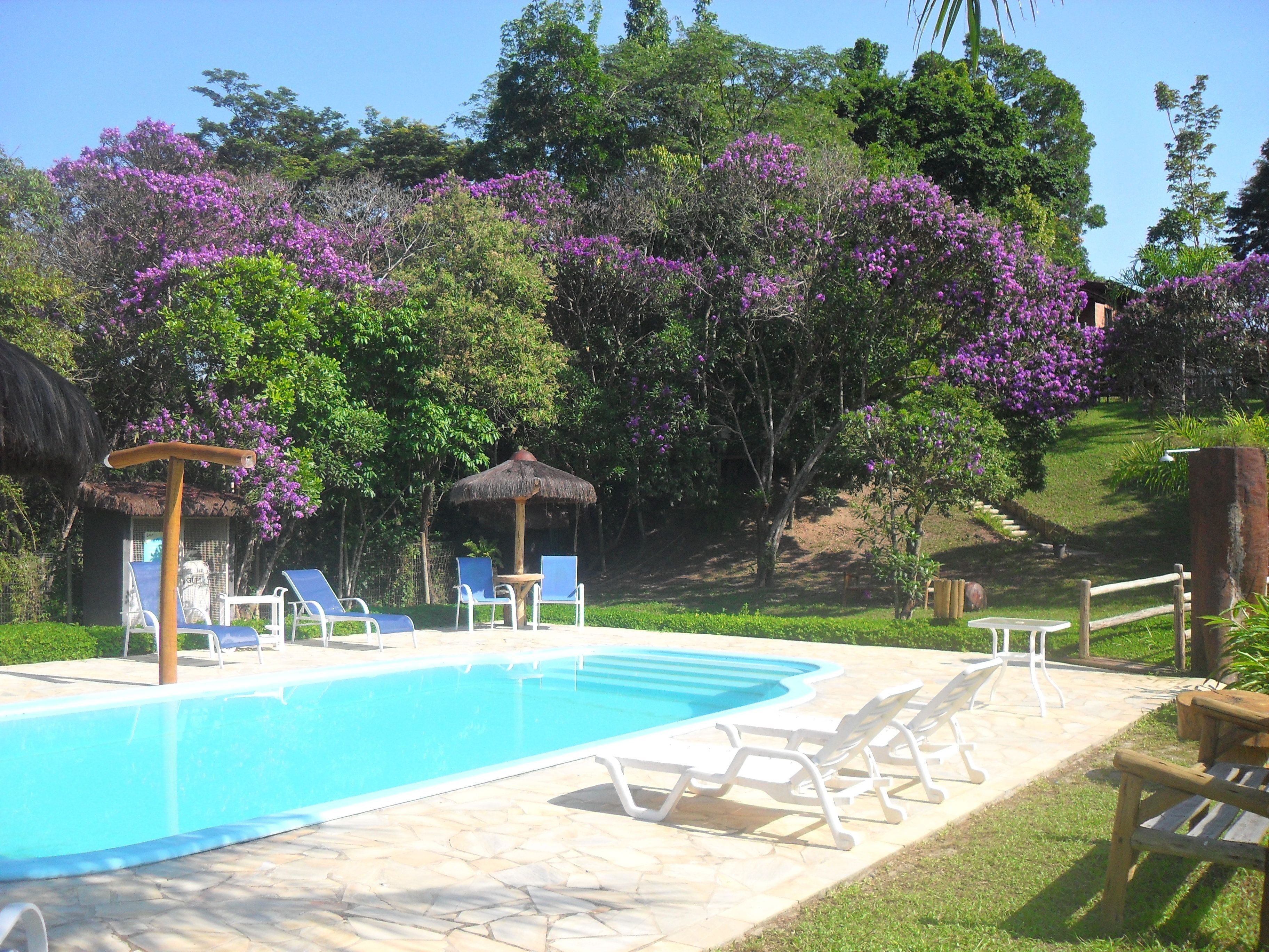 outdoor pool, pool umbrellas, pool loungers
