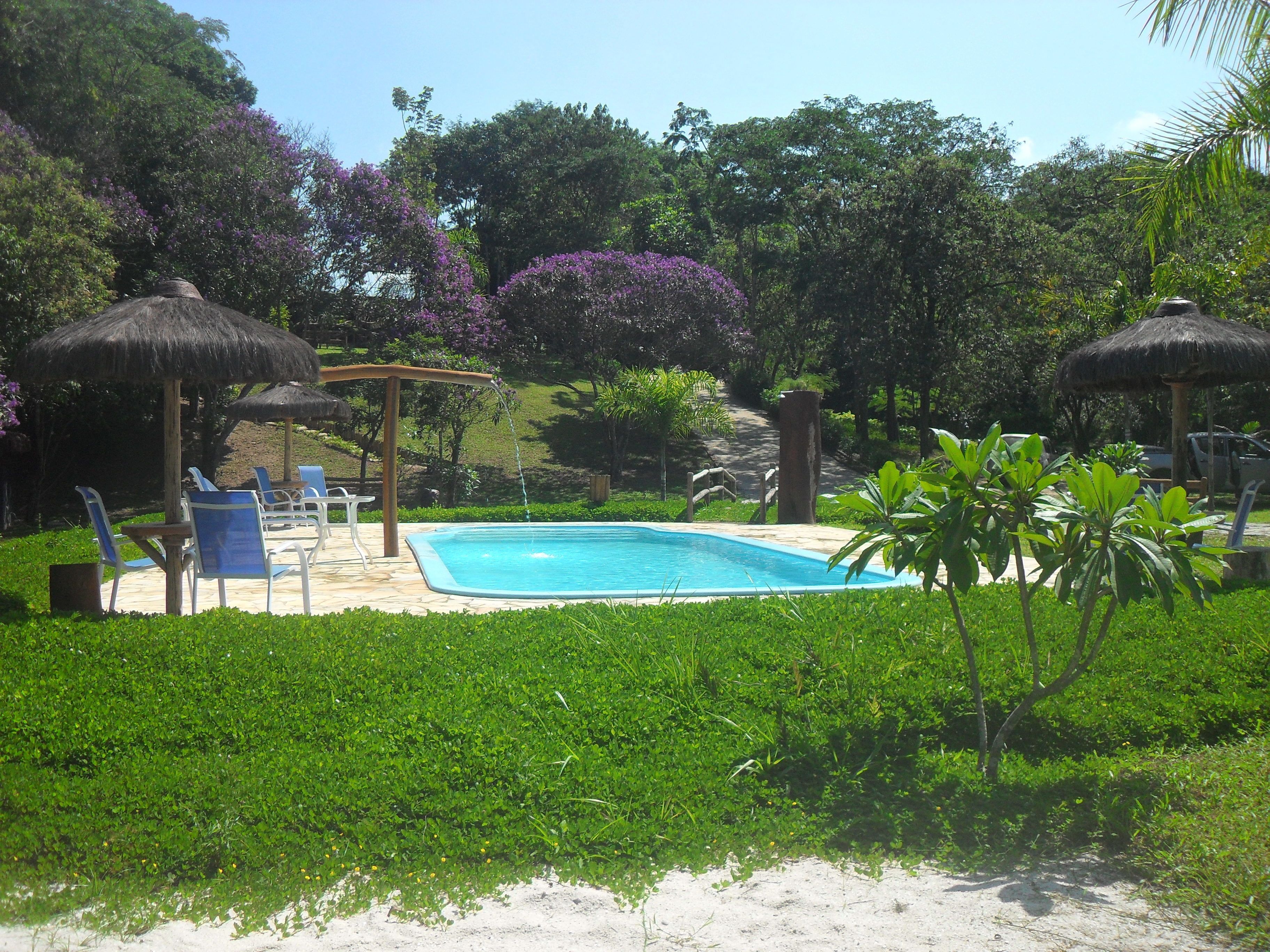 outdoor pool, pool umbrellas, pool loungers