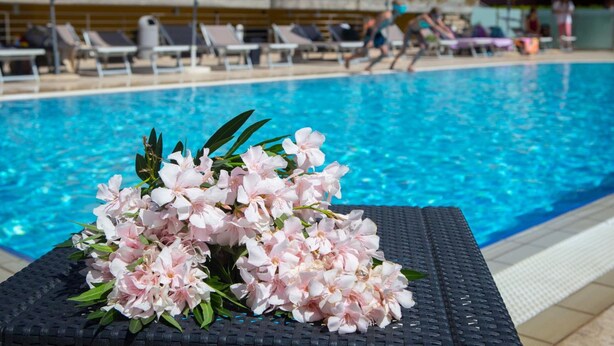 Un espace aménagé au bord de la piscine, avec des chaises longues et des parasols.
