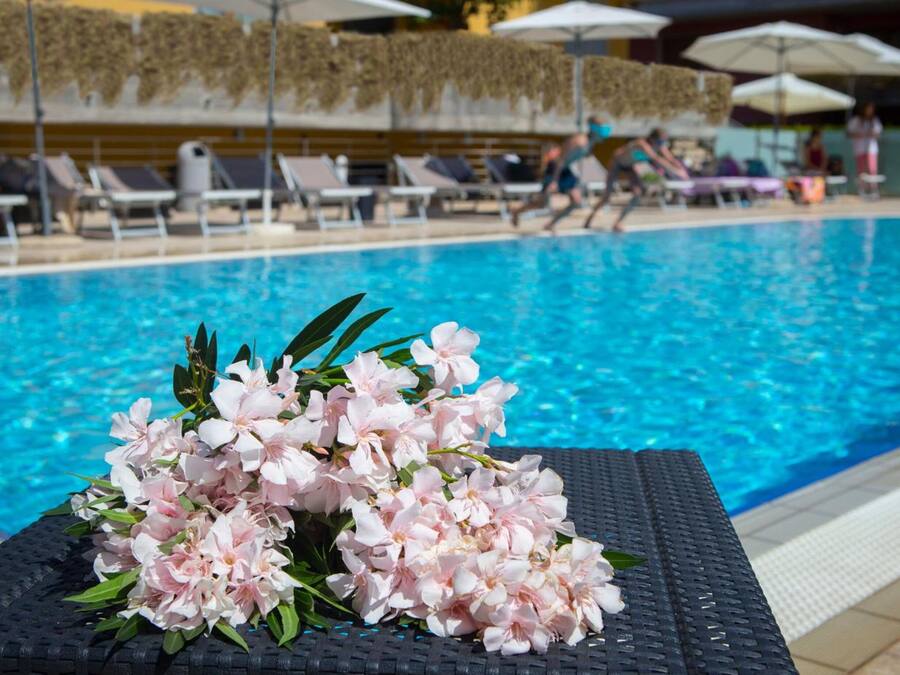 Outdoor pool, sun loungers