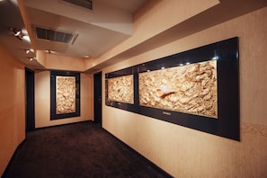 Interior de l'entrada