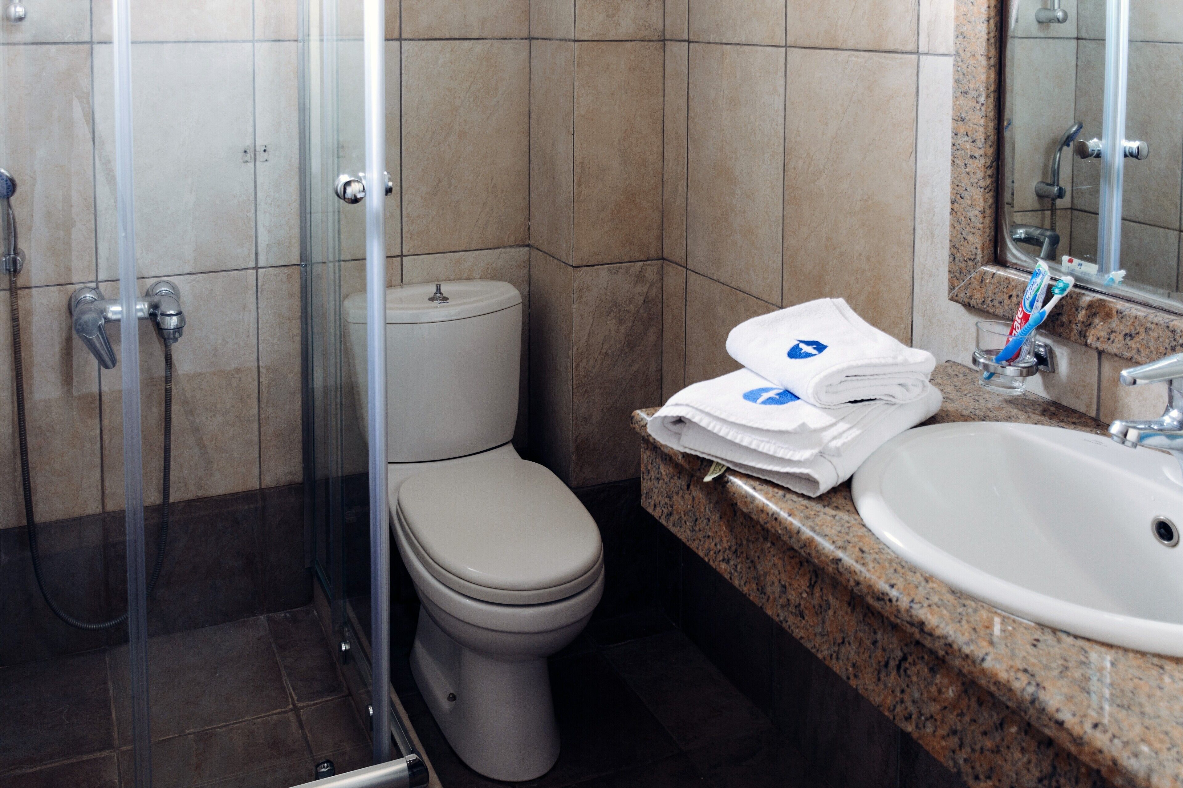 A bathroom with a glass-enclosed shower, a toilet, and a sink with a mirror above it.
