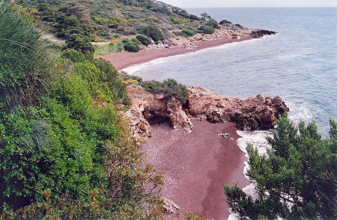 A coastal landscape with a rocky beach, dense greenery, and a clear view of the sea.