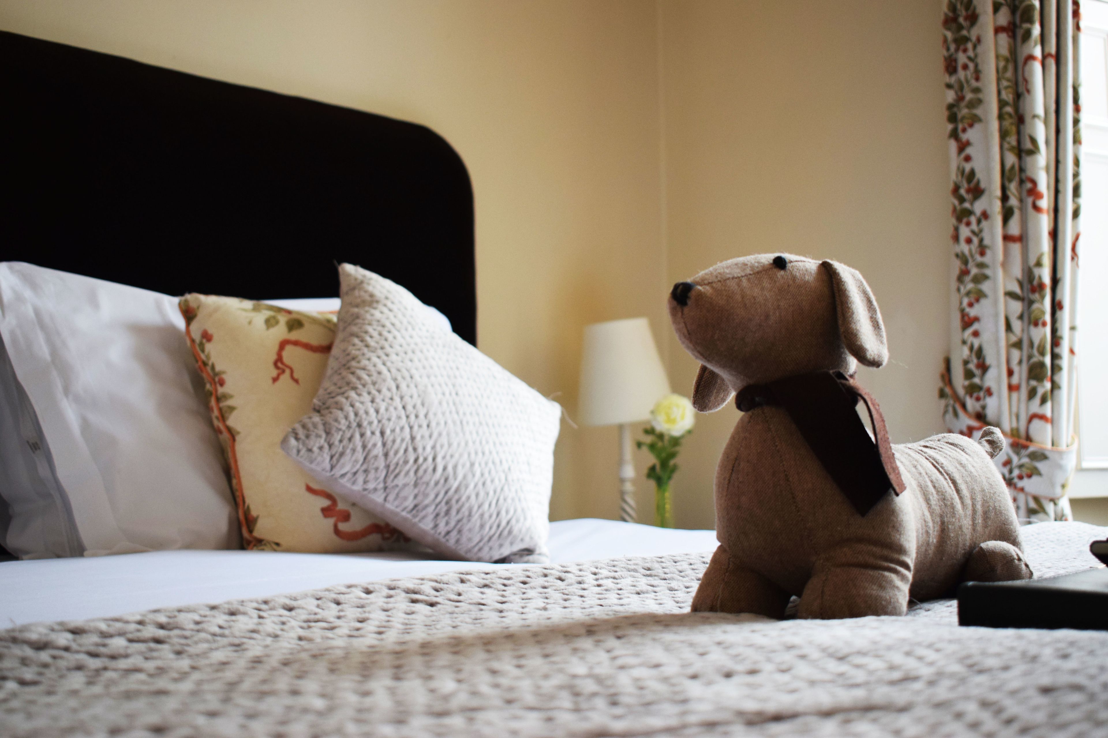 Foto - The Windsor Town House