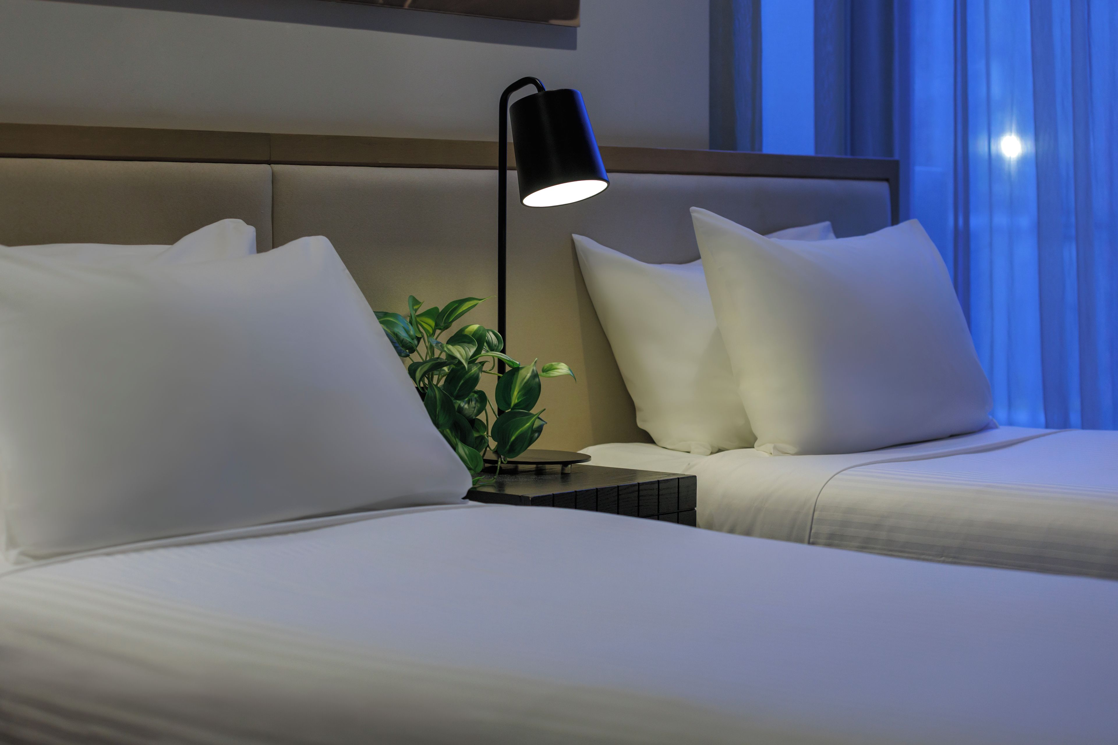 A hotel room with two beds, a nightstand, a lamp, and a plant.