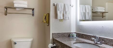 A bathroom with a toilet, sink, and towel rack.