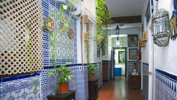 Un pasillo estrecho con baldosas estampadas en azul y blanco, plantas en macetas y una puerta que da a otra habitación.
