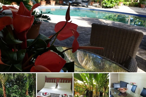 Oriana Garden | View from room