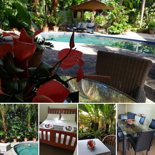 Oriana Garden | View from room