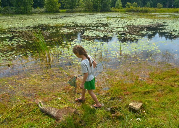 A person standing by a pond with lily pads and reeds. - Lake George Escape - Campground (Diamond Point)