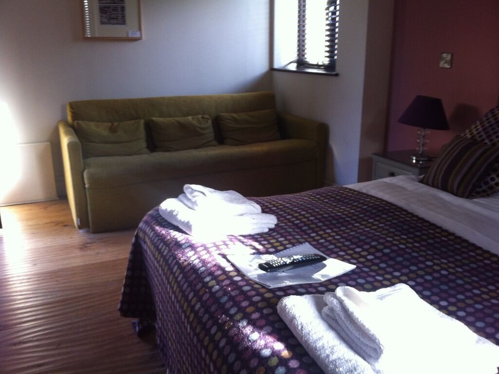 A room with a bed, a sofa, a lamp, and a window.