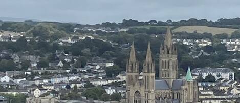 A cathedral with two spires, surrounded by residential buildings and greenery.