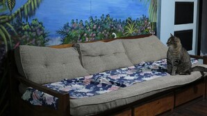 Un banco de madera con cojín floral, frente a un mural que representa una escena tropical con aves y follaje.