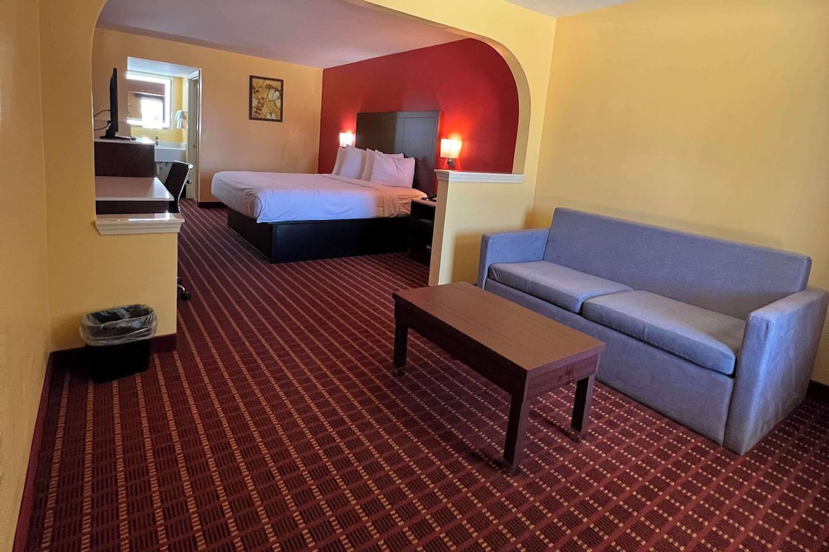 A hotel room with a bed, a sofa, a desk, and a trash bin.