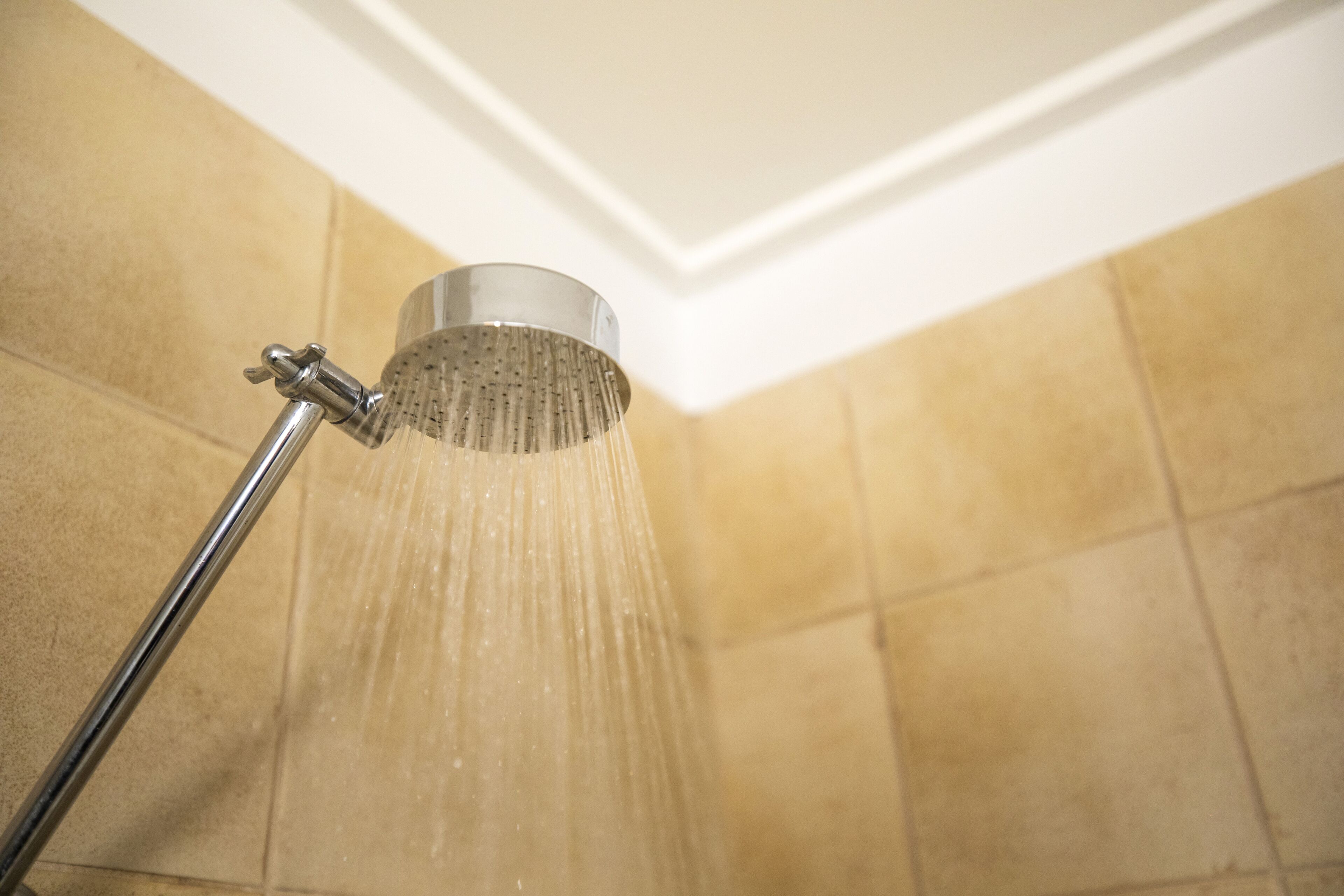 Un pommeau de douche d’où jaillit de l’eau.