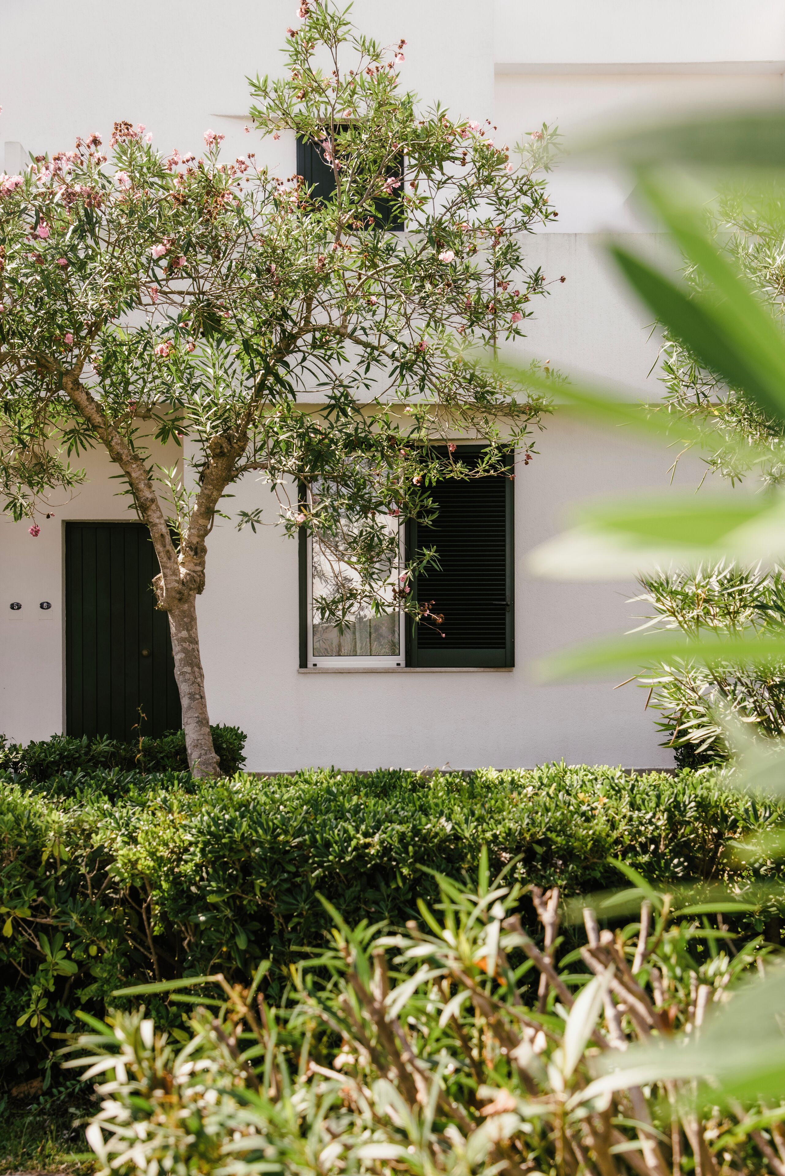 Foto - Residence Altair - Serra degli Alimini