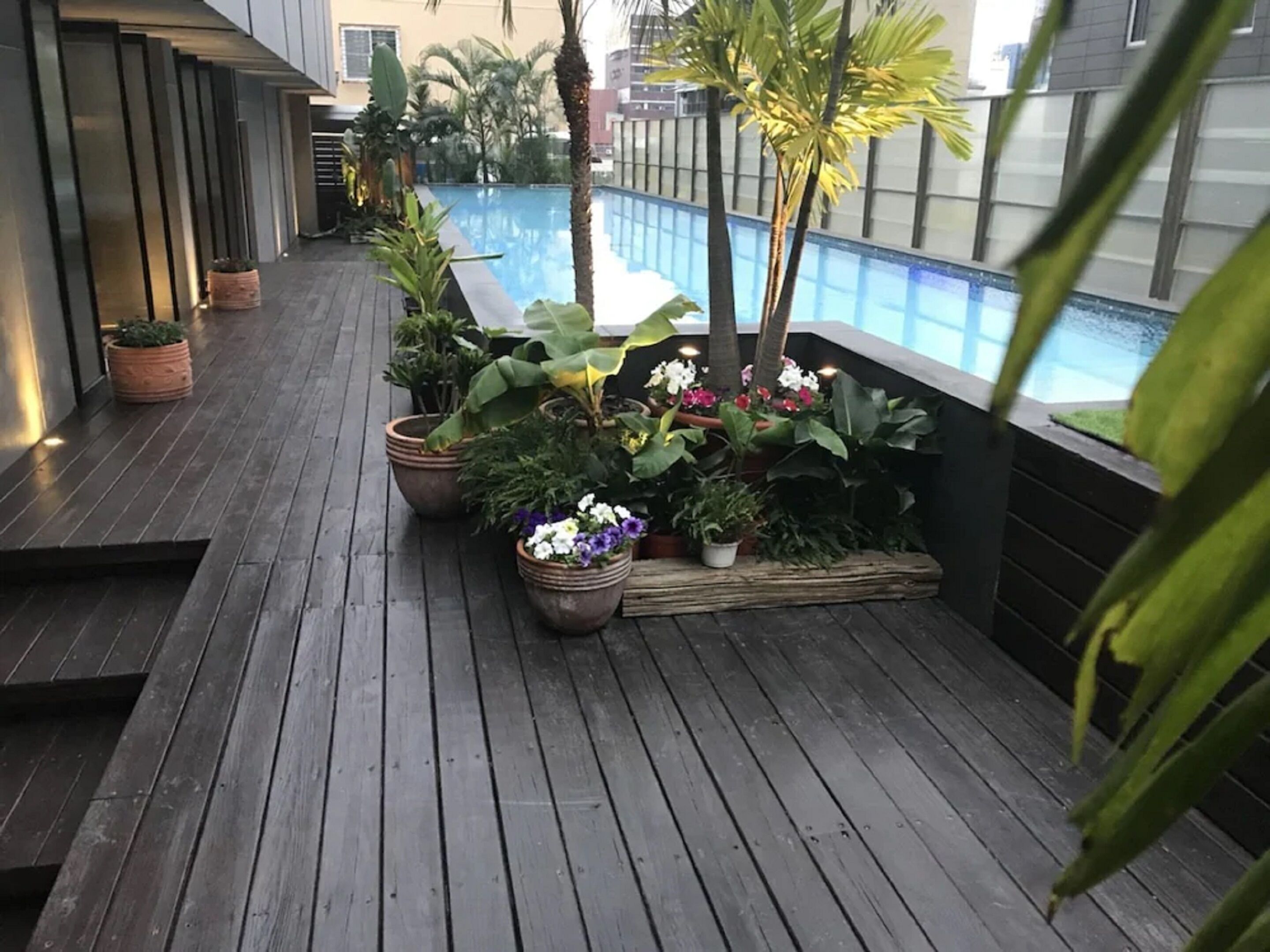 Une terrasse en bois agrémentée de plantes et de fleurs en pot, donnant sur une piscine.