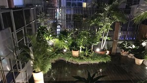 Un jardín en la azotea con plantas en macetas y una pequeña fuente.