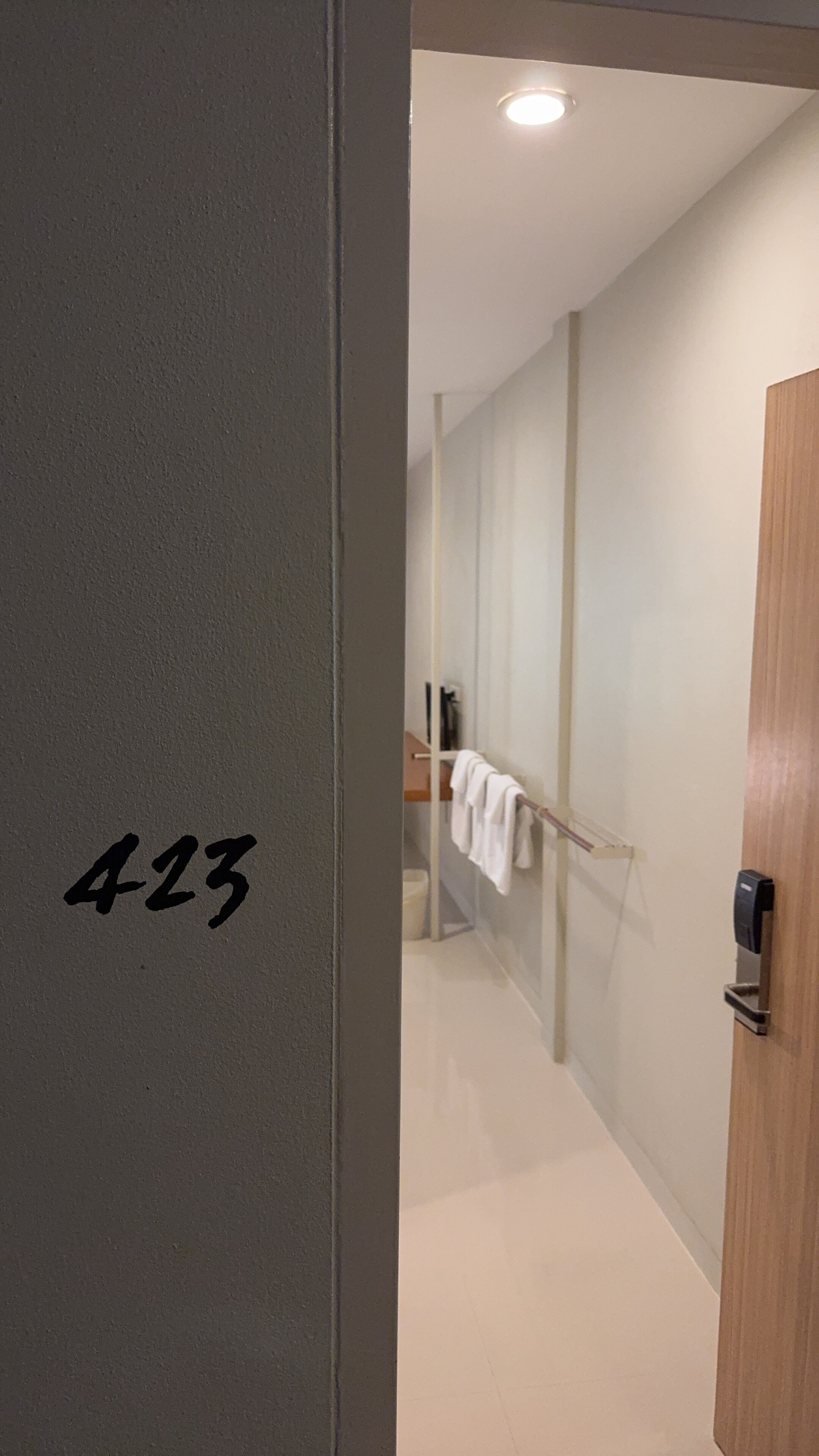 A hallway with a door labeled "423" leading to a room.