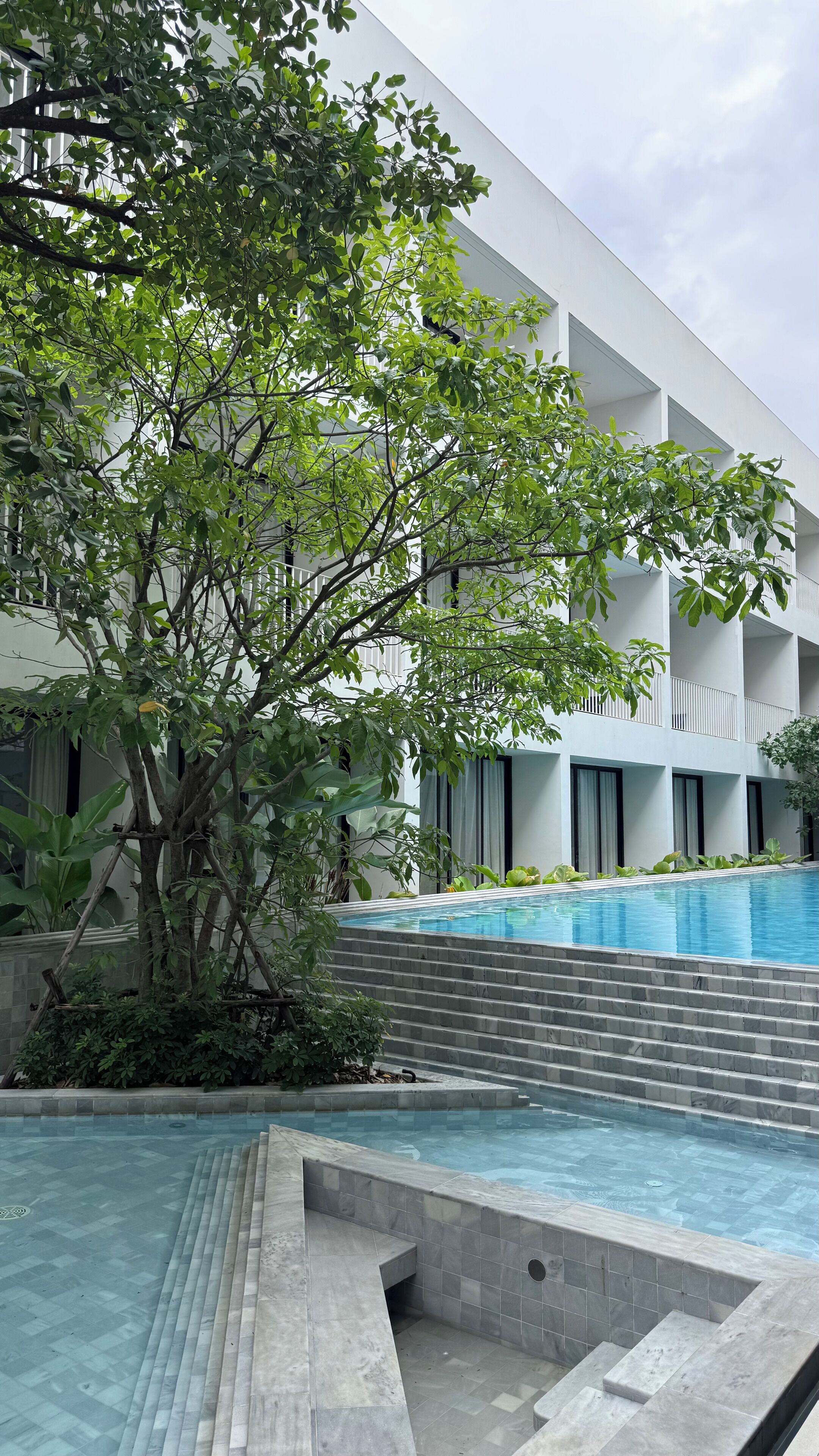 Un bâtiment moderne doté d’un espace piscine, entouré d’une végétation luxuriante et d’un arbre.
