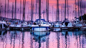 A marina with multiple sailboats docked at calm water reflecting the sky.