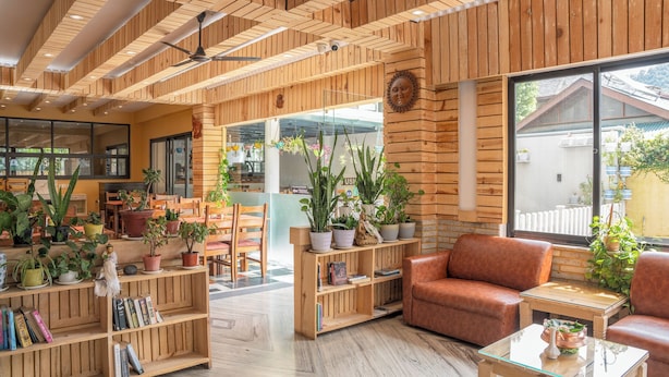 Un interior acogedor con paneles de madera, un sofá, una mesa de centro y plantas en macetas.