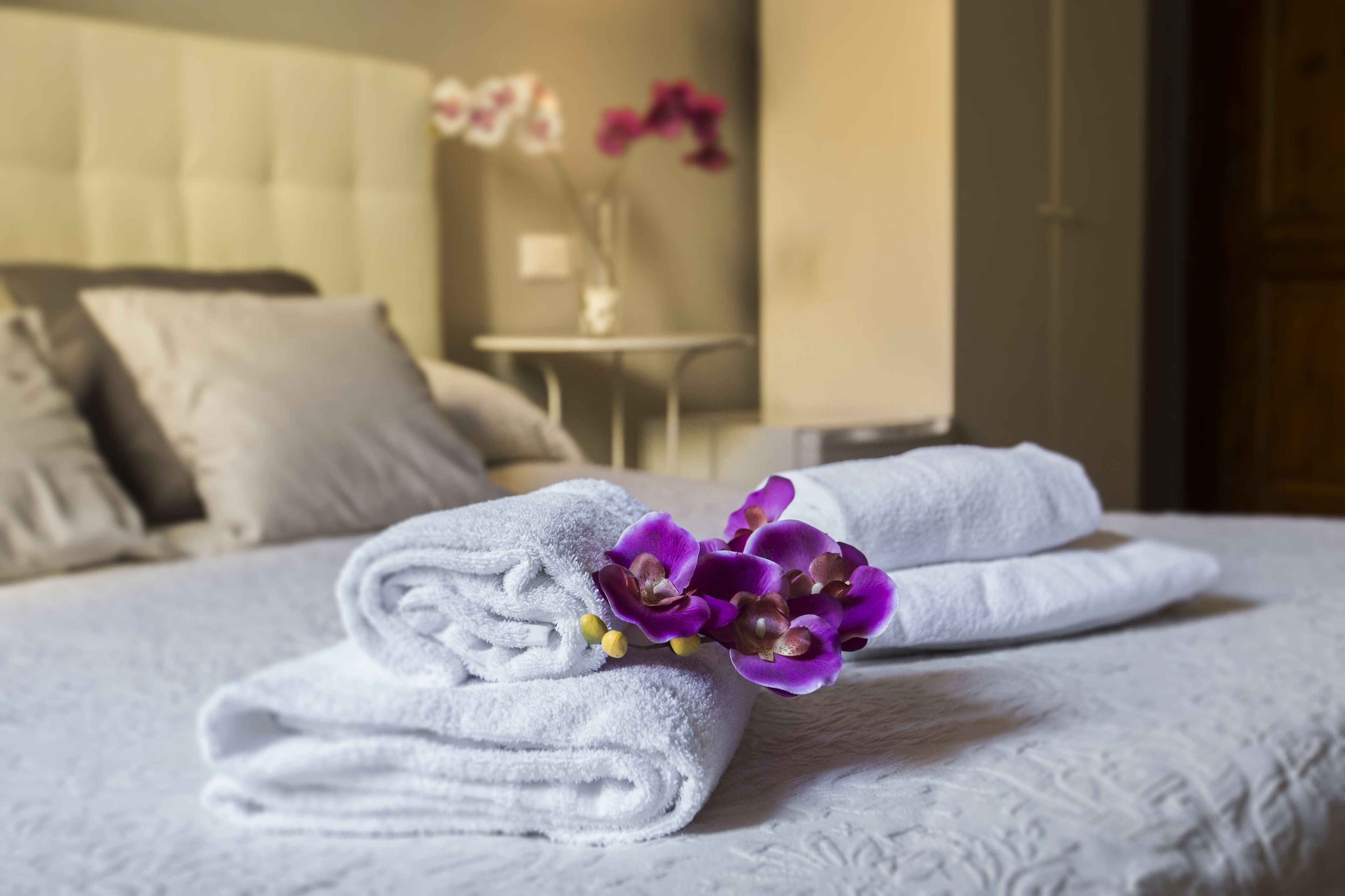 Habitación doble superior | Minibar, caja de seguridad en la habitación, escritorio y cunas 