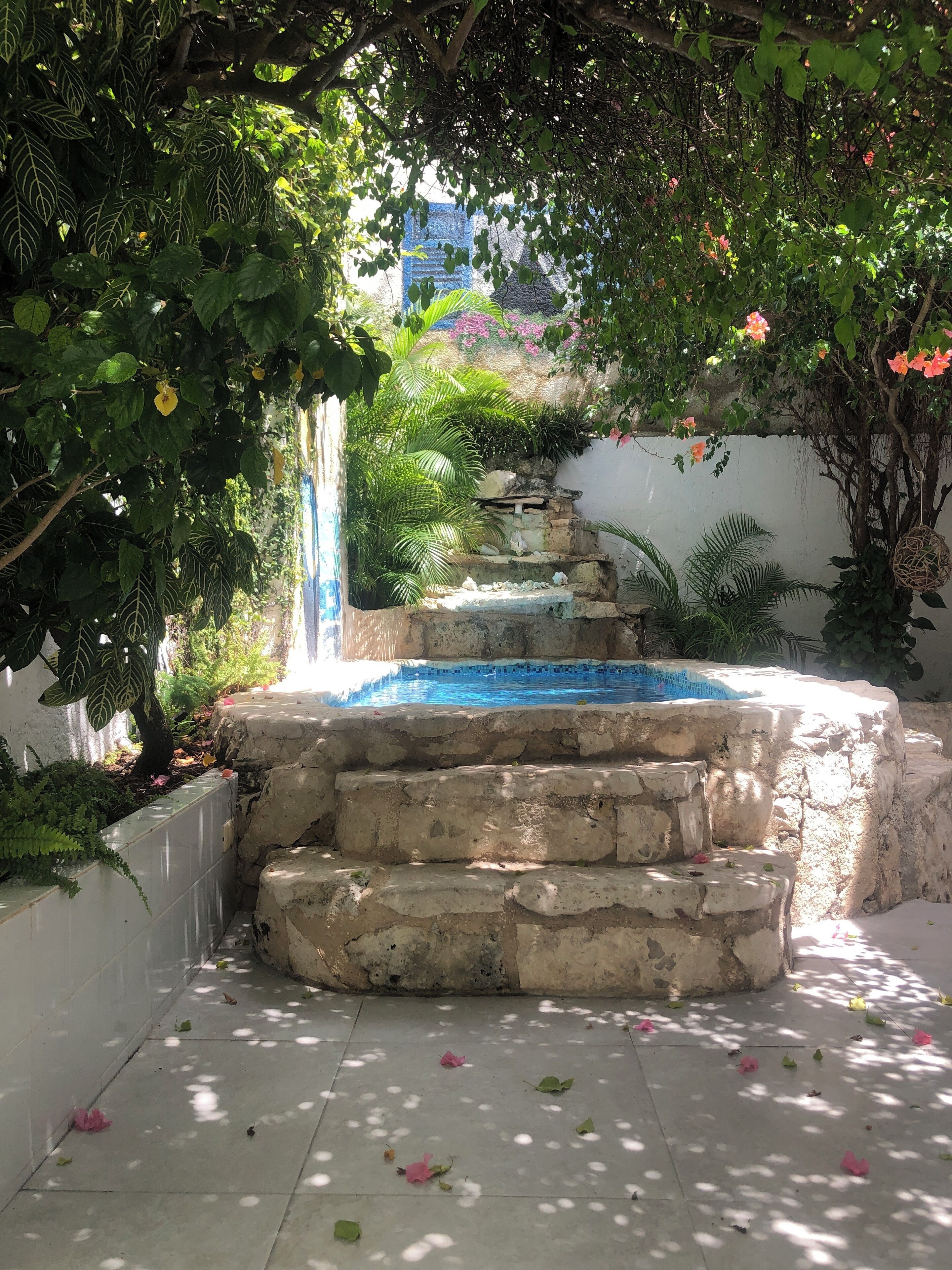 Photo - Caribo Cozumel