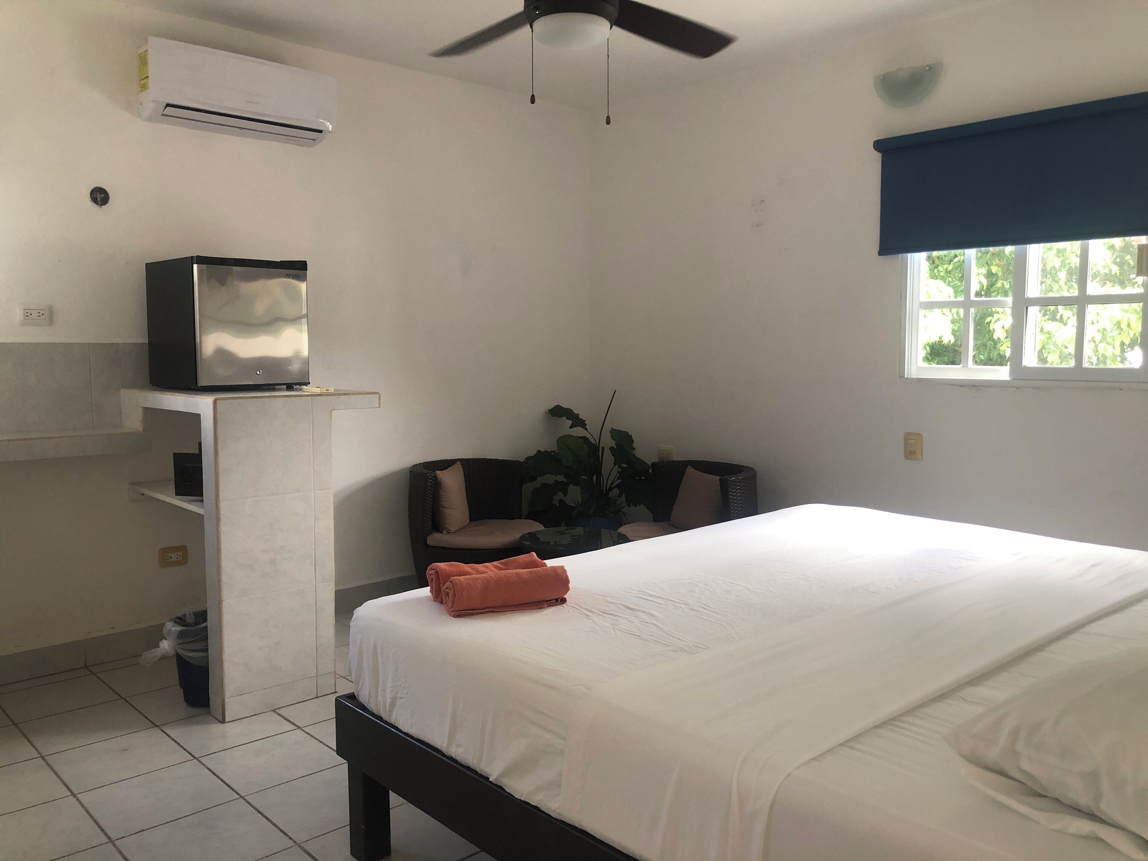 Una habitación de hotel con cama, televisor sobre un mueble, ventilador de techo, ventana con vista y una planta.