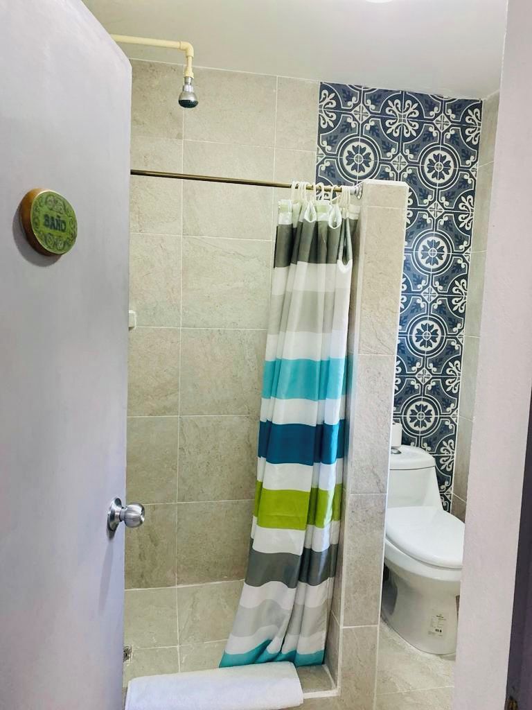 A bathroom with a shower, a toilet, and a curtain.