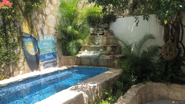 A swimming pool with a mosaic design, surrounded by greenery and a stone wall.