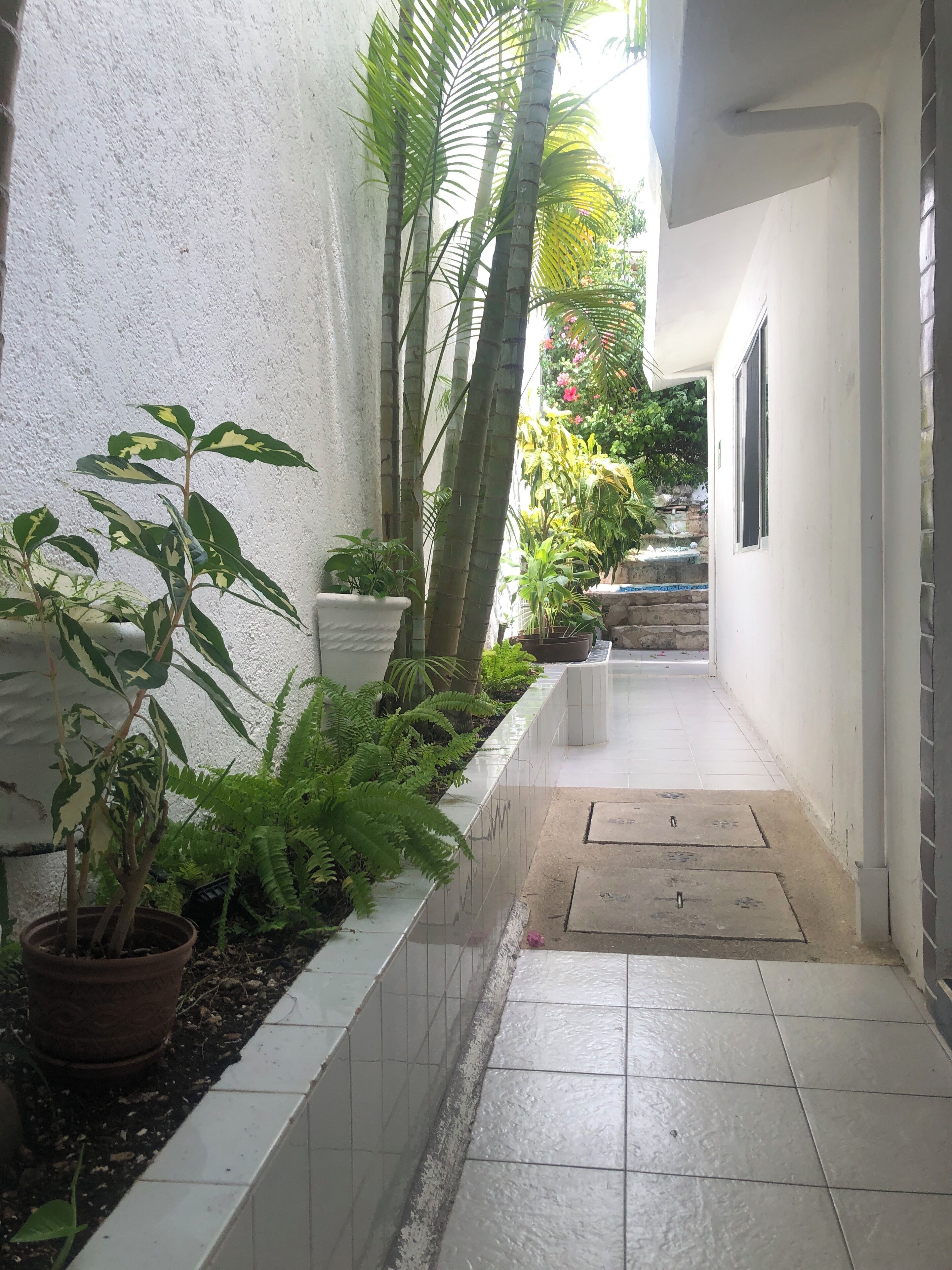 Photo - Caribo Cozumel