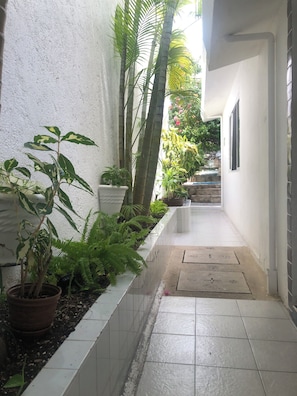 A narrow pathway flanked by white walls and potted plants, leading to a staircase. - Caribo Cozumel (Cozumel)