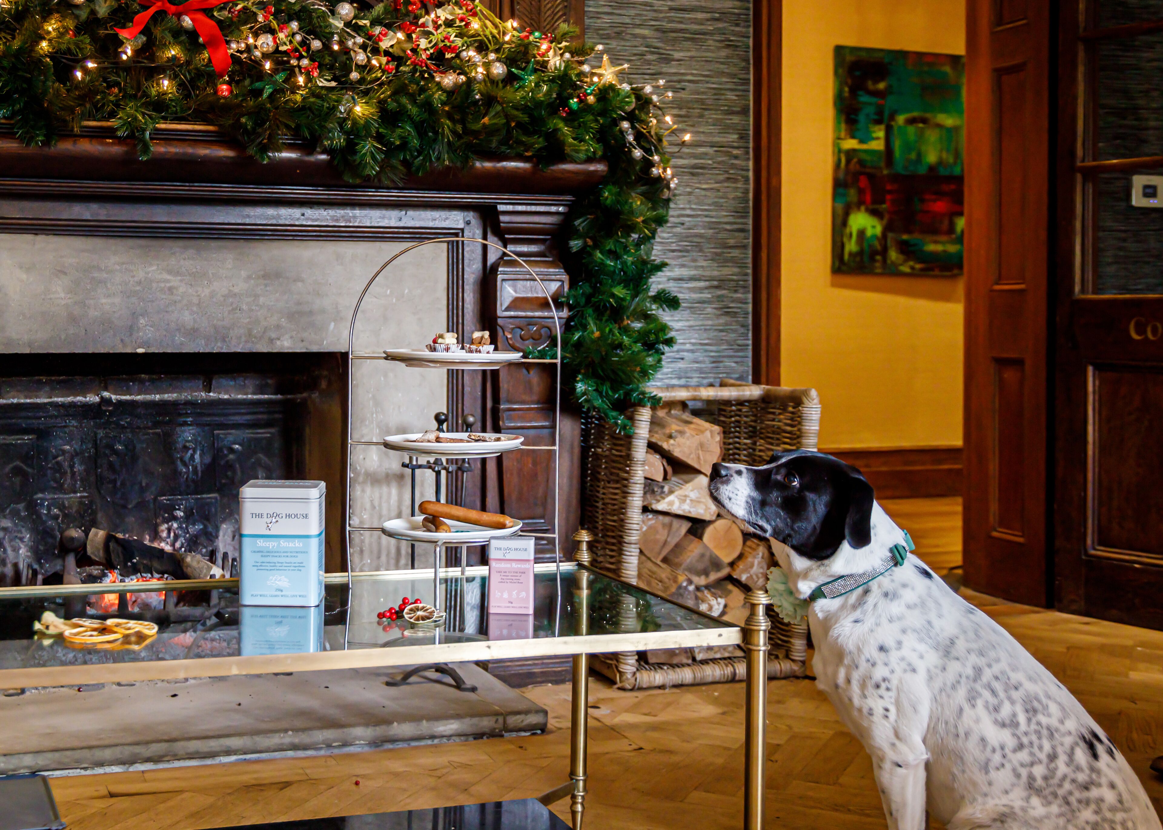 Un perro mirando un árbol de Navidad y una mesa de postres de tres niveles en una habitación cálidamente decorada con chimenea.