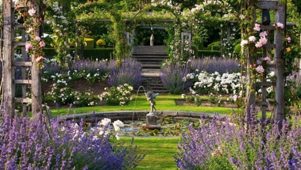 Een tuin met een fontein, lavendel en een standbeeld.