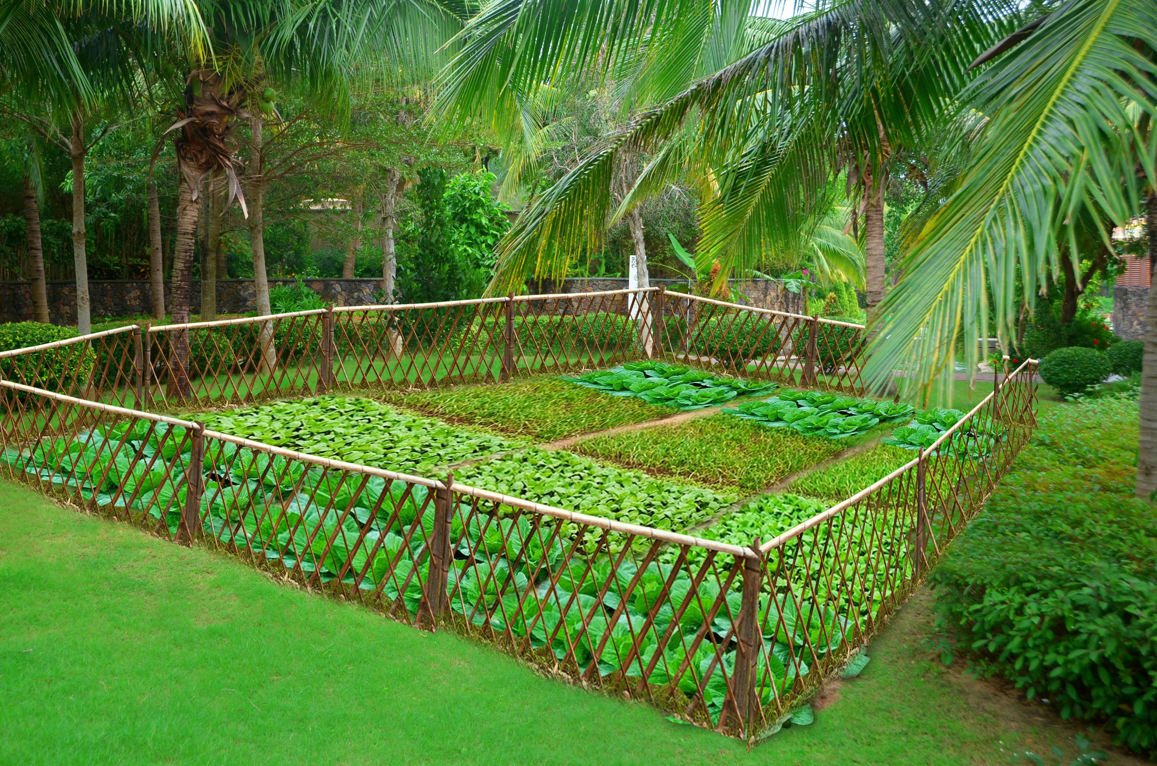 children’s play area – outdoor