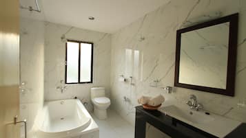 Hair dryer, bidet, towels