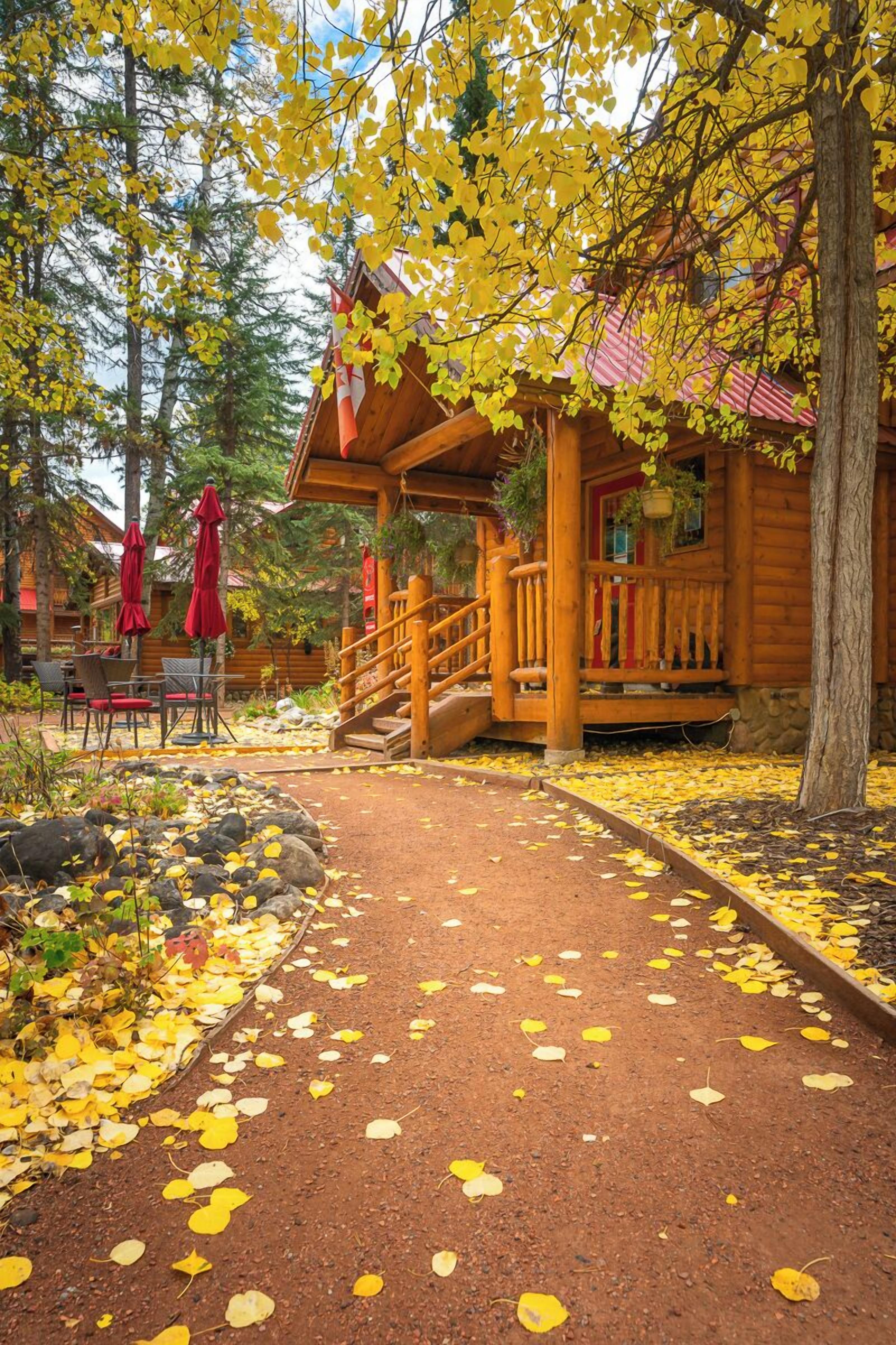 A wooden cabin with a porch and a staircase leading to the entrance.