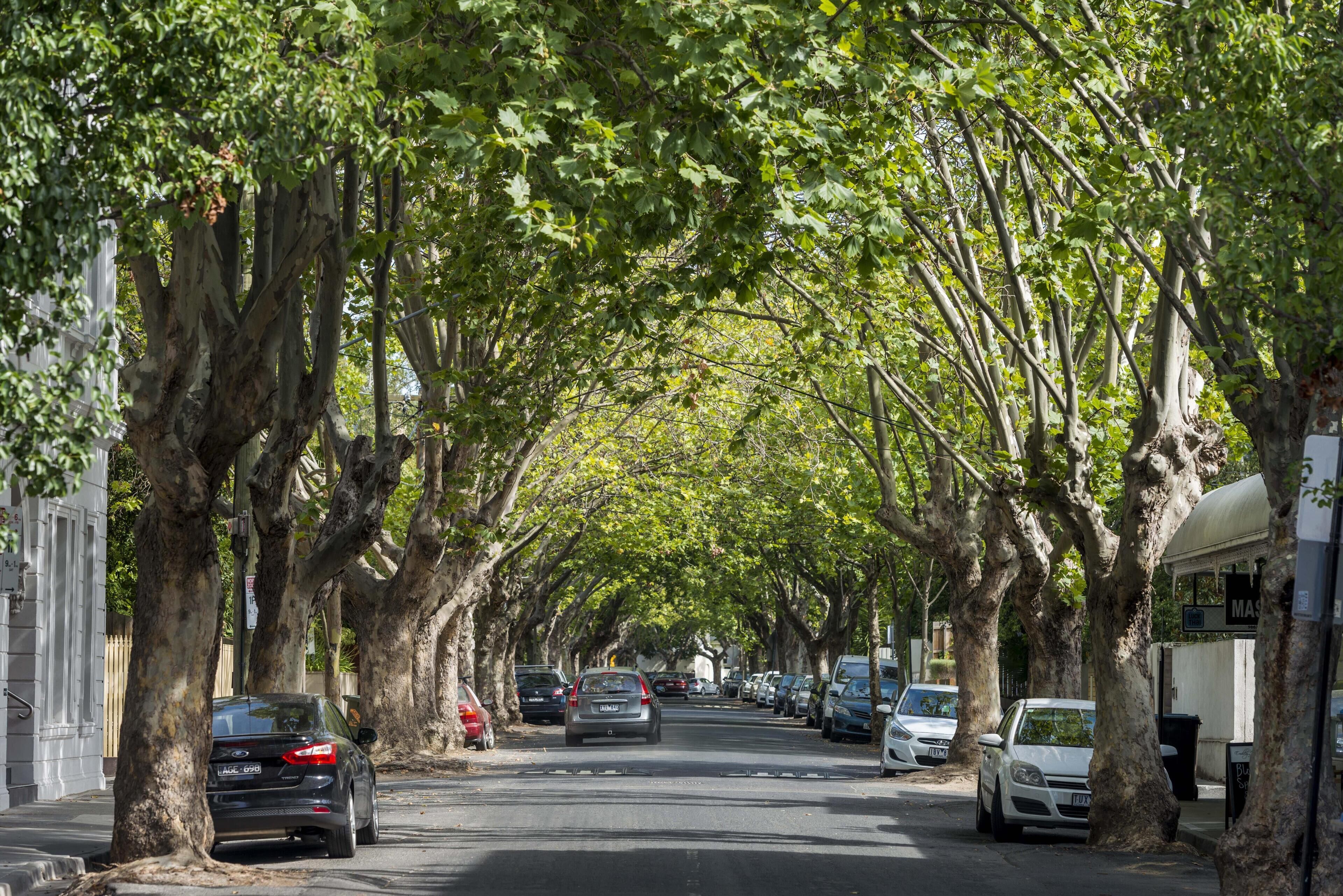 Foto - Oaks Melbourne South Yarra Suites