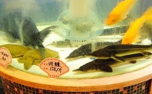 Chinese cuisine - Tiandu Hotel (Wenzhou)