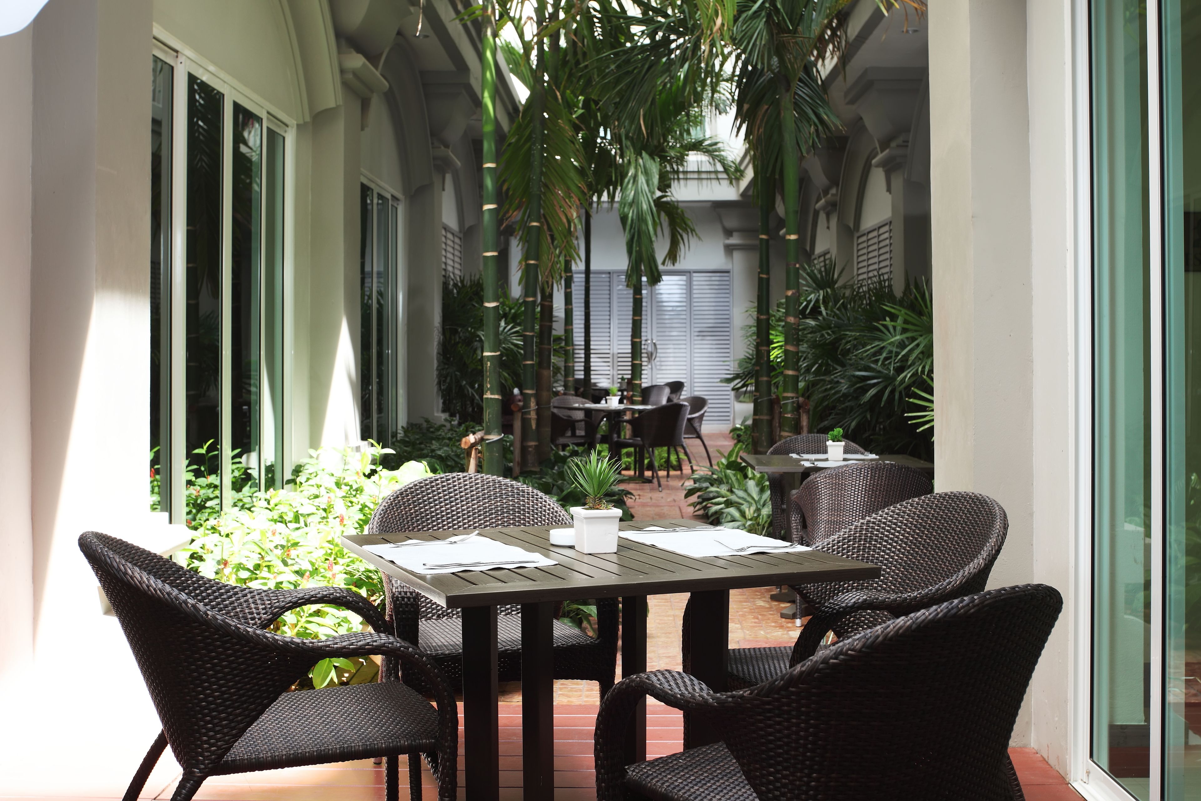 Un espace extérieur abrité, aménagé pour les repas, avec des meubles en osier et une petite table, entouré de plantes en pot et offrant une vue sur l’intérieur du bâtiment.