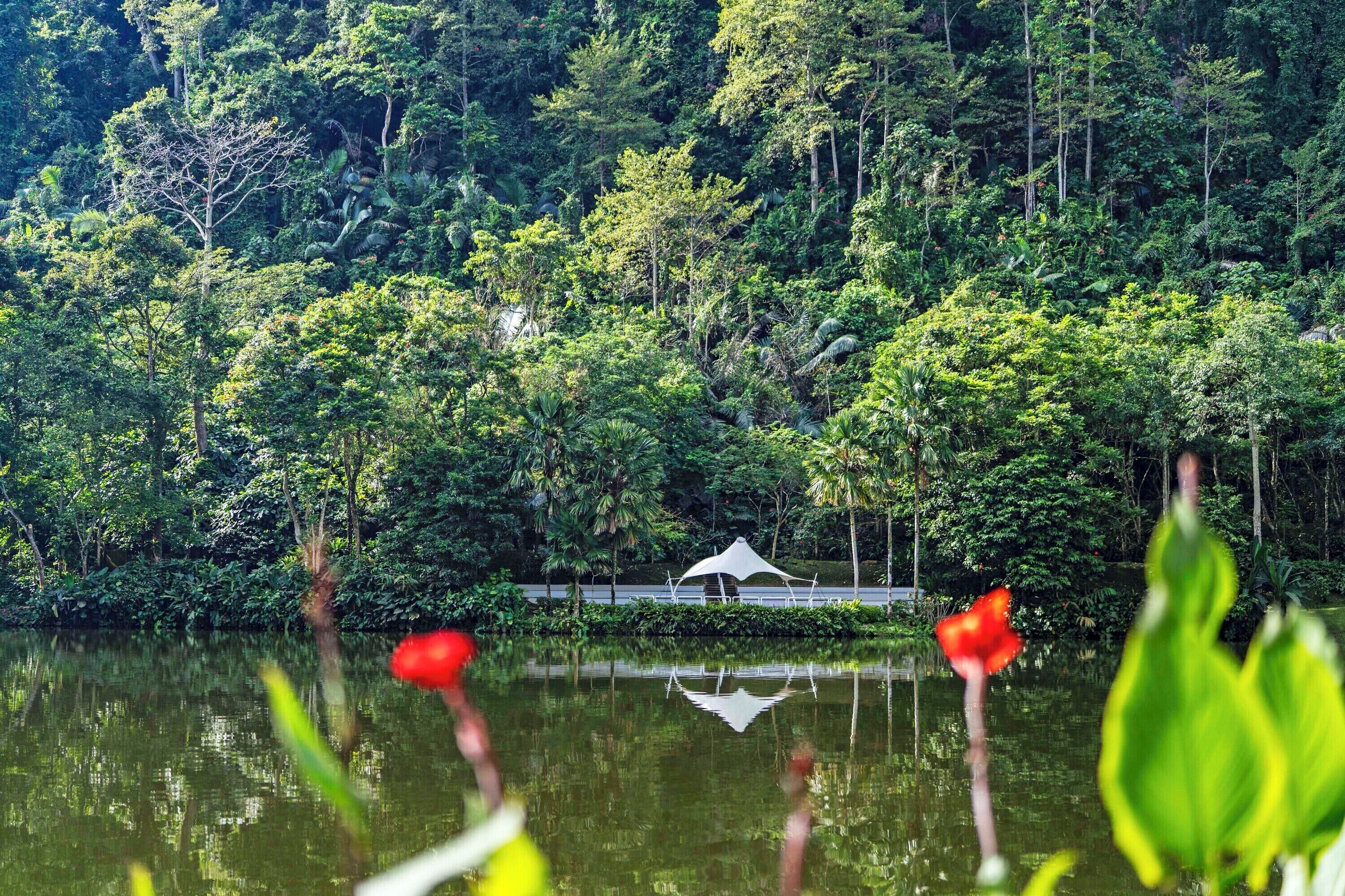 A serene lakeside view with a white gazebo and lush greenery.