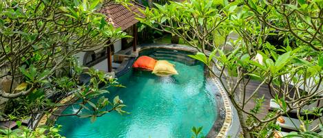 Outdoor pool, sun loungers